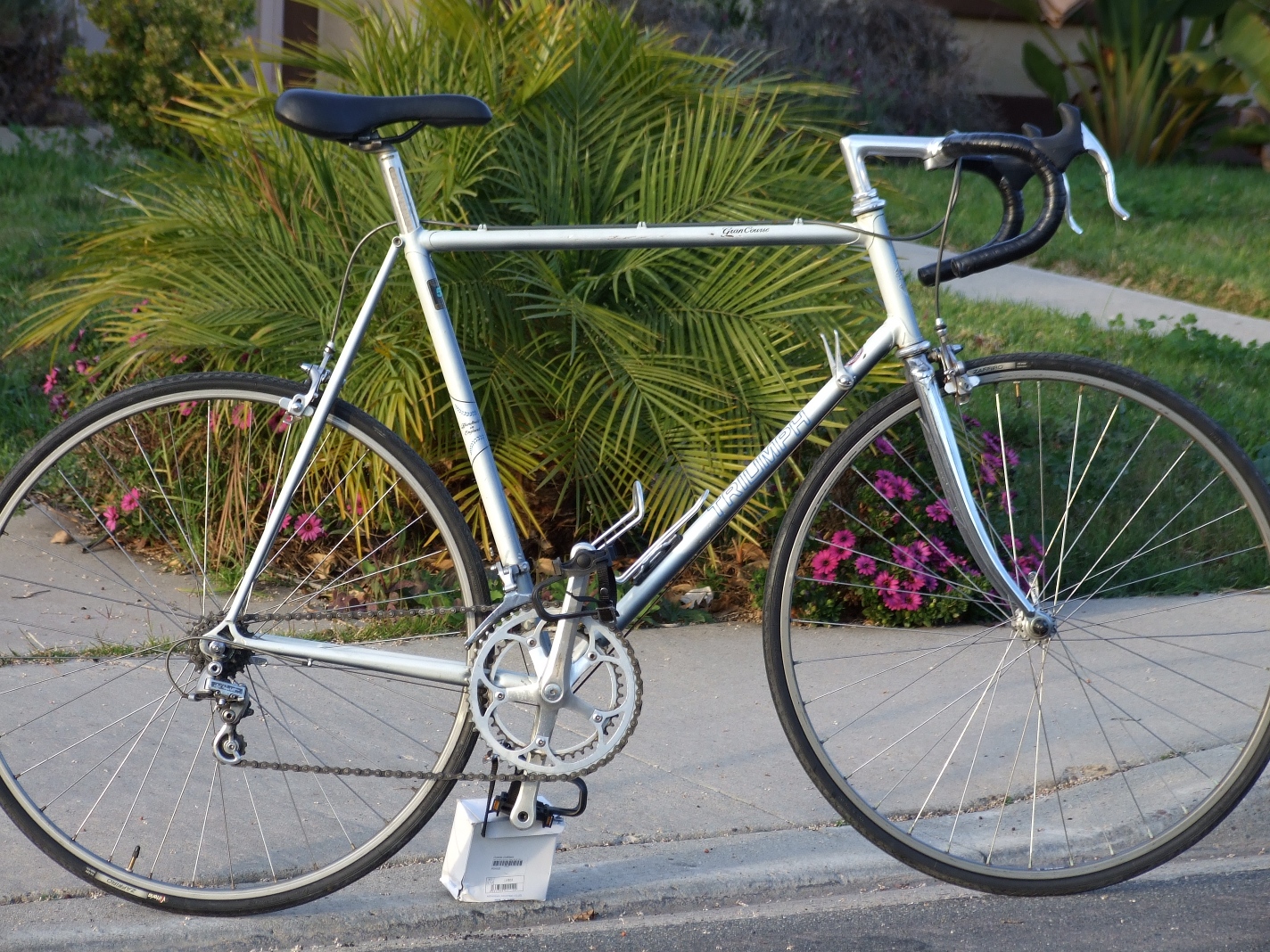 triumph affordable bikes